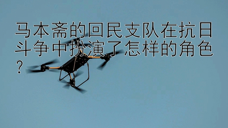 马本斋的回民支队在抗日斗争中扮演了怎样的角色？